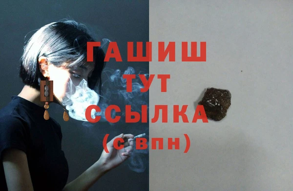 прущие грибы Абаза