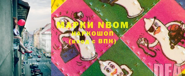 прущие грибы Абаза