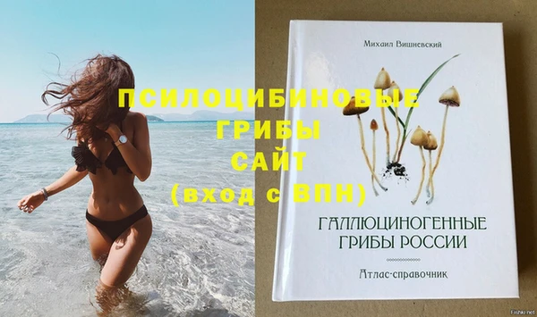 ALPHA PVP Нязепетровск