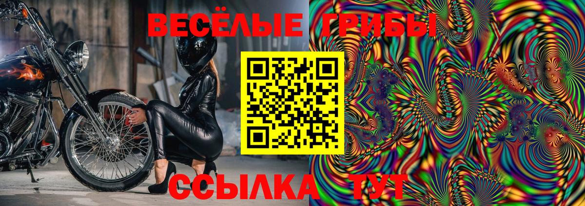 Галлюциногенные грибы Magic Shrooms  Вход с VPN  Зеленодольск  Галлюциногенные грибы MAGIC MUSHROOMS 