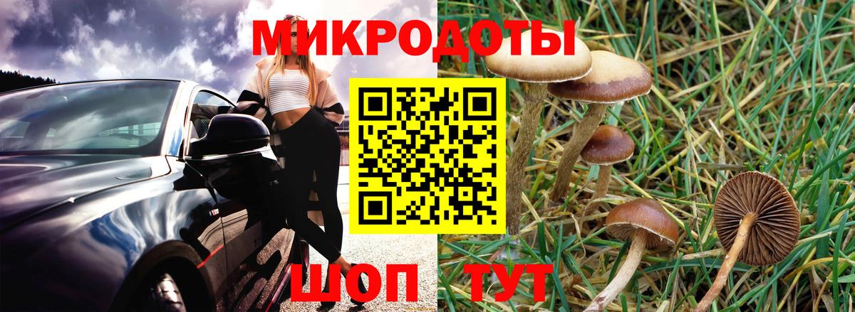 Псилоцибиновые грибы Cubensis Зеленодольск